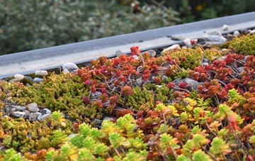 the cost of Walnut Tree green roof installation