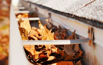 Walnut Tree gutter cleaning companies