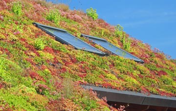 Walnut Tree living roof systems