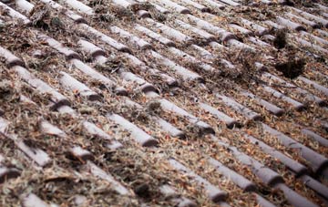 Walnut Tree roof cleaning companies