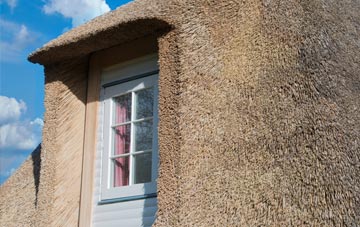 Walnut Tree thatch roof disadvantages