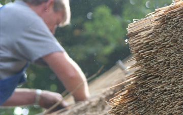 professional Walnut Tree thatchers