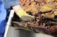 Walnut Tree gutter cleaners